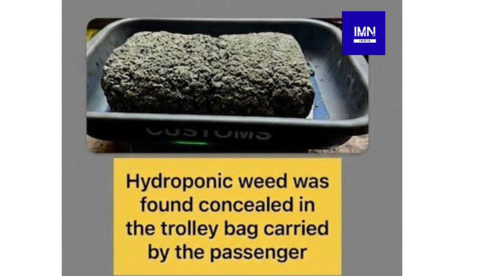 Mumbai Airport Customs Seizure: Hydroponic Weed & USD Seized